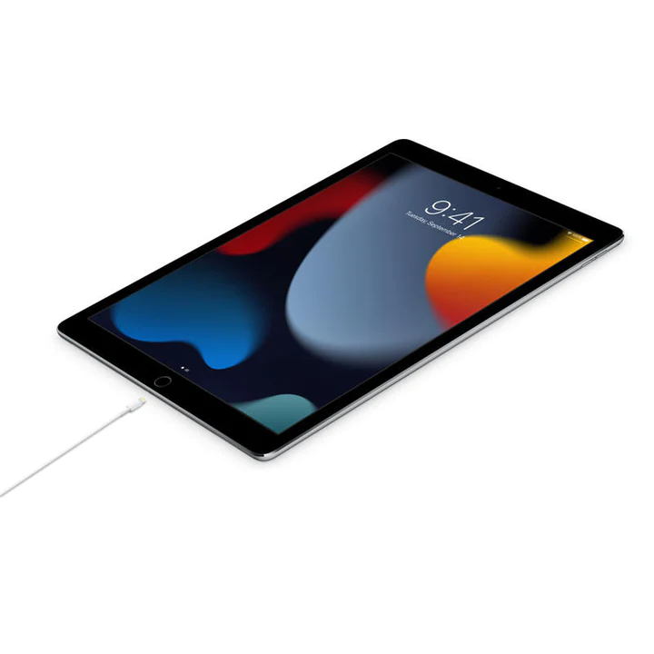 Cable De Datos Apple Lightning a Type-C 1M MQGJ2ZM Original