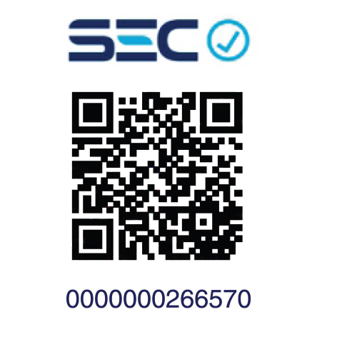 CARGADOR PARED TECMASTER SEC MICRO USB TM-CH-WU2