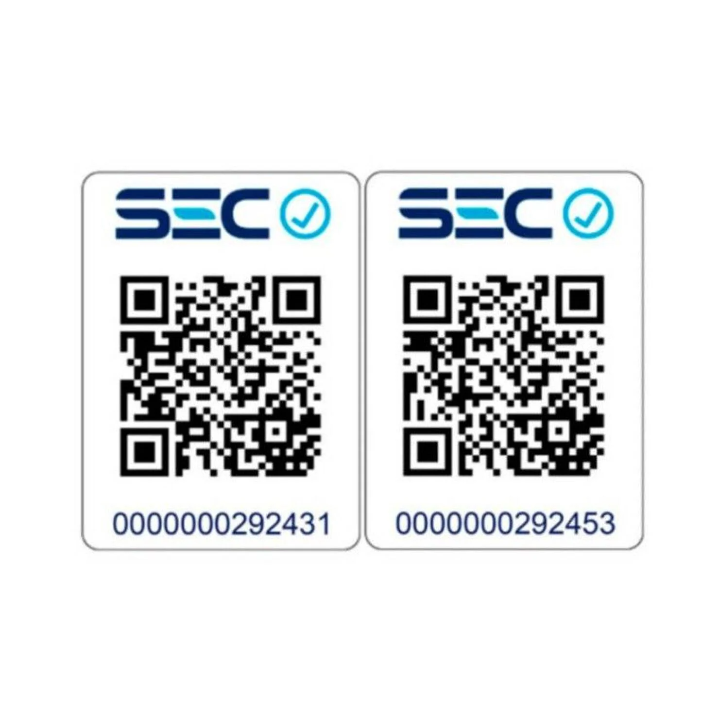 Kit Secador + Alisador de Pelo Revlon Premium Pack Ceramic