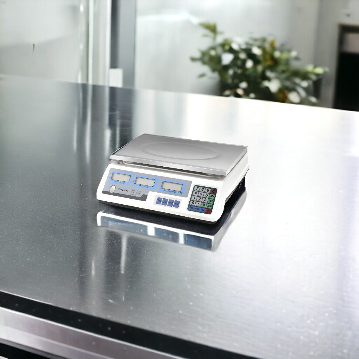 Pesa Balanza Digital de Almacén Recargable 40 KG Inoxidable