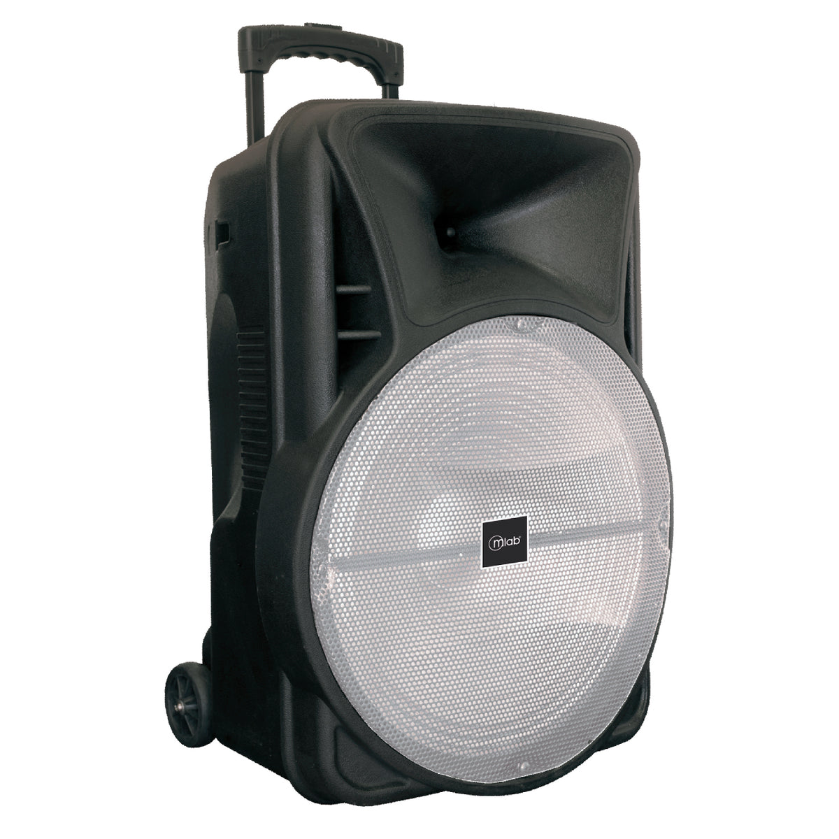 Pack Parlante Portatil 15" Havy Bass + Tripode + Proyector