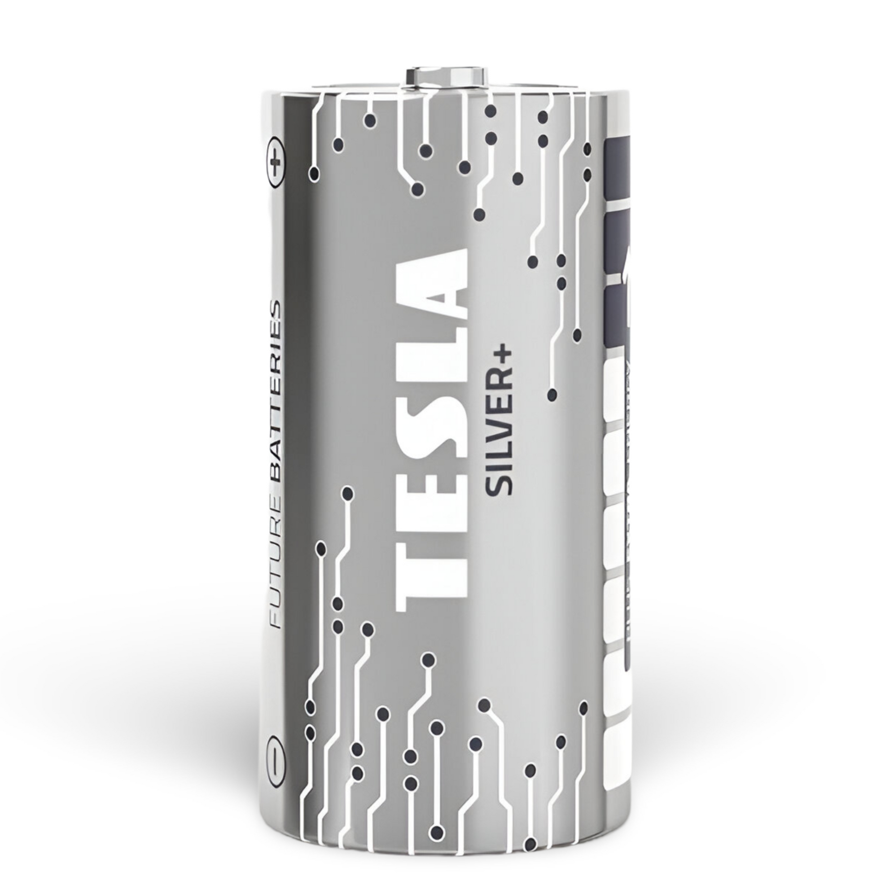 Pack 12 Pilas C Tesla Silver+ Alkaline Plus Extra Energy