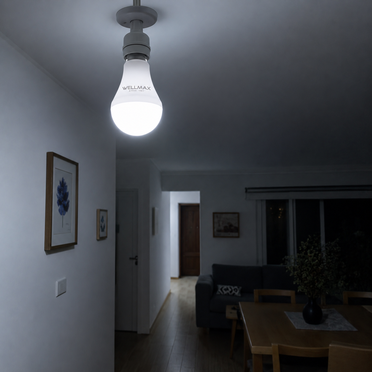 Ampolleta LED Recargable de Emergencia Wellmax Super Nova 9W