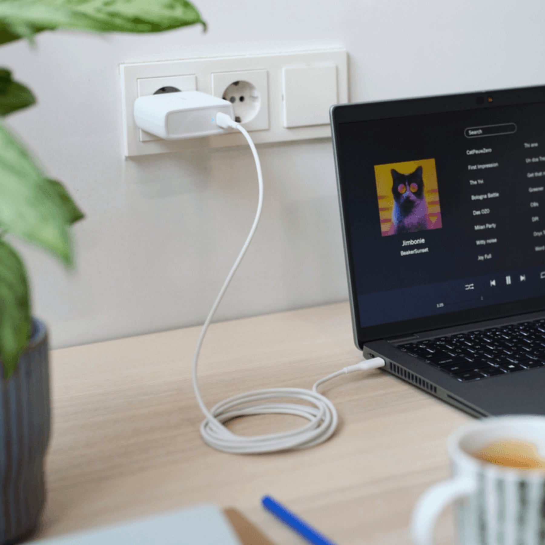 Cargador Trust Universal USB-C 65W / 3A + Cable C/C de 2Mts