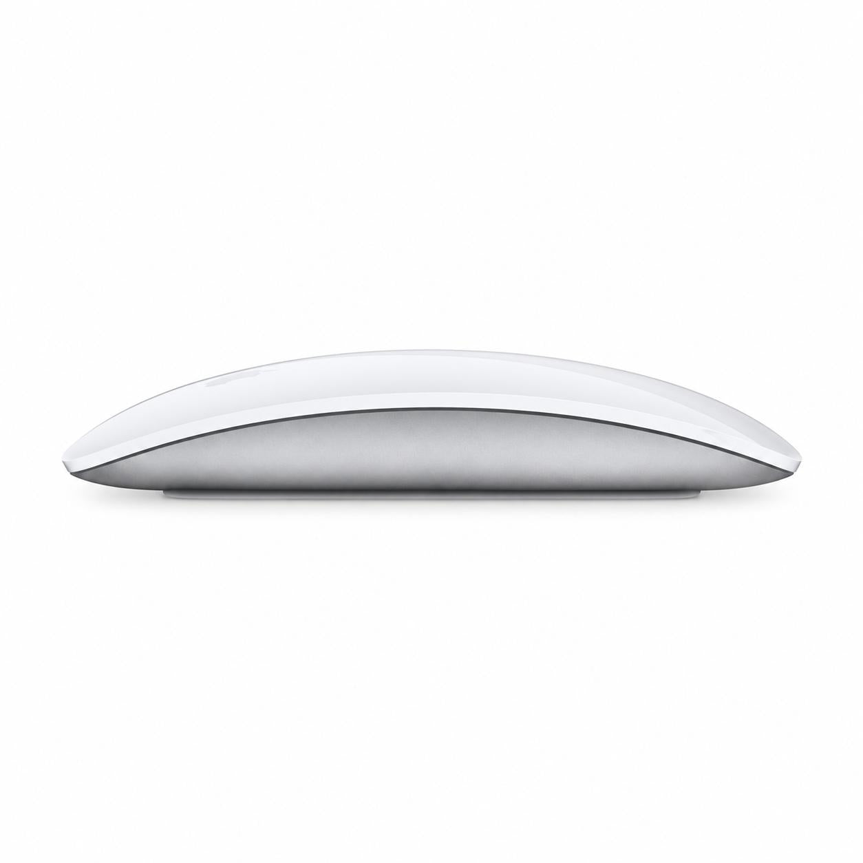 Mouse Inalámbrico Apple Magic Multitouch Bluetooth / USB-C