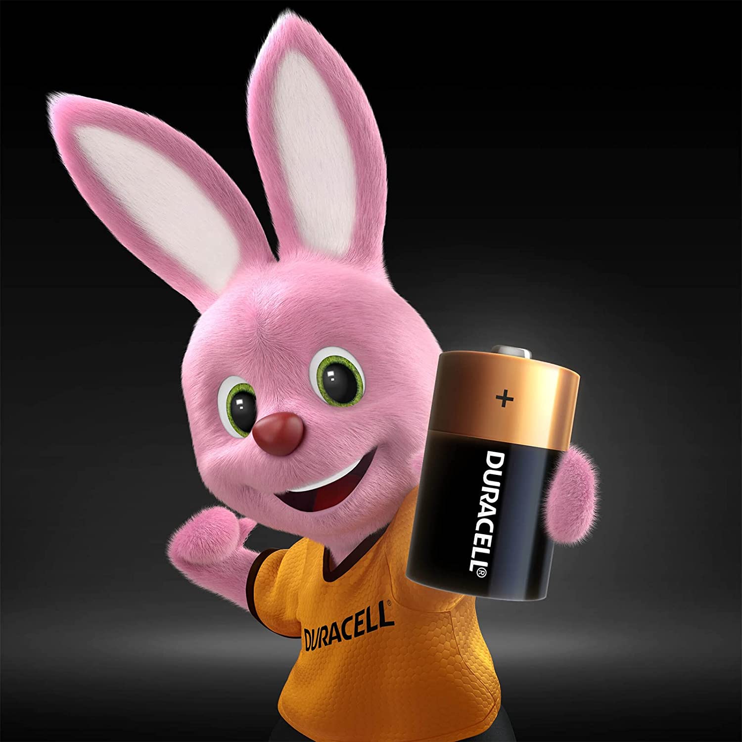 Pila Duracell D Alcalina Extra Duración