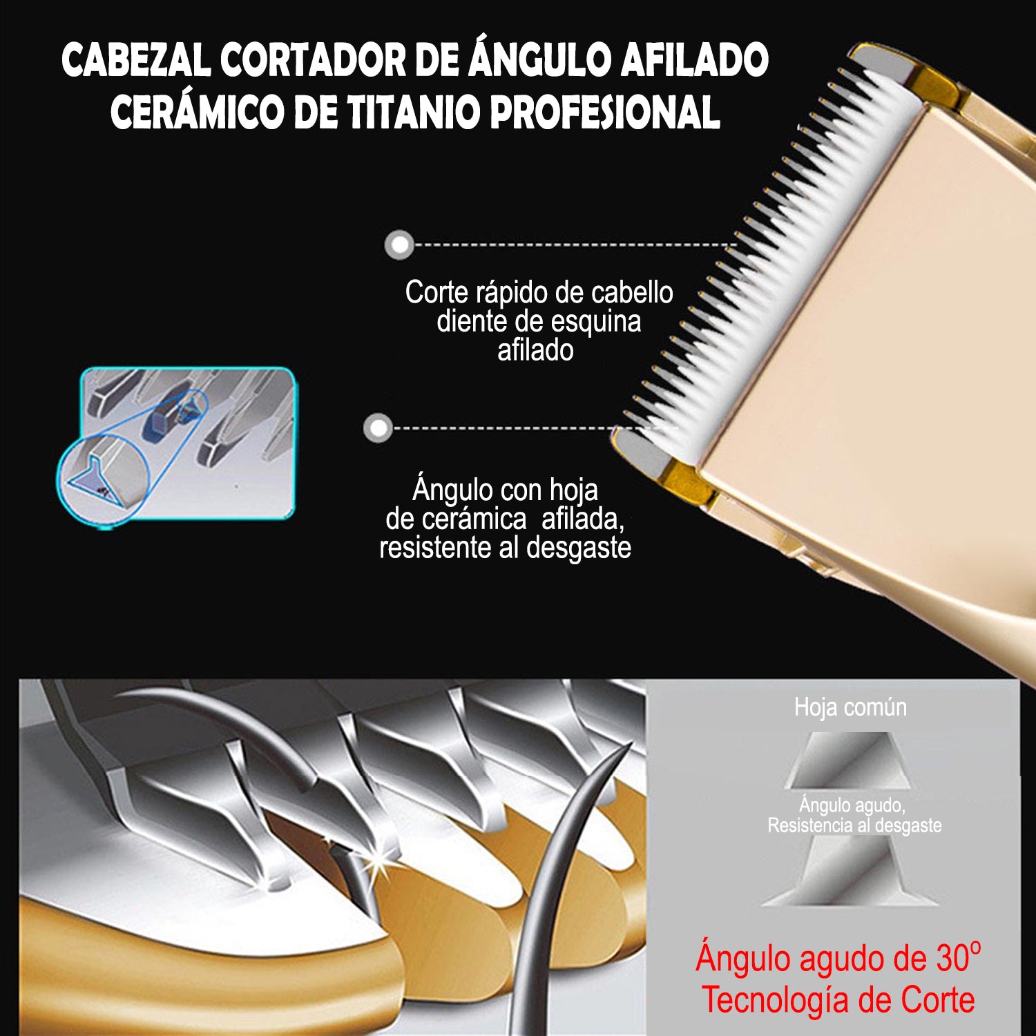 Cortadora de Pelo para Perros y Gatos con Accesorios DBG013