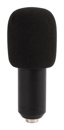 Microfono Condensador Profesional Philco Hifi 31451 C/Soporte