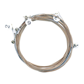 Set de Cuerdas para Guitarra Eléctrica Calibre 0.10 Hendrix