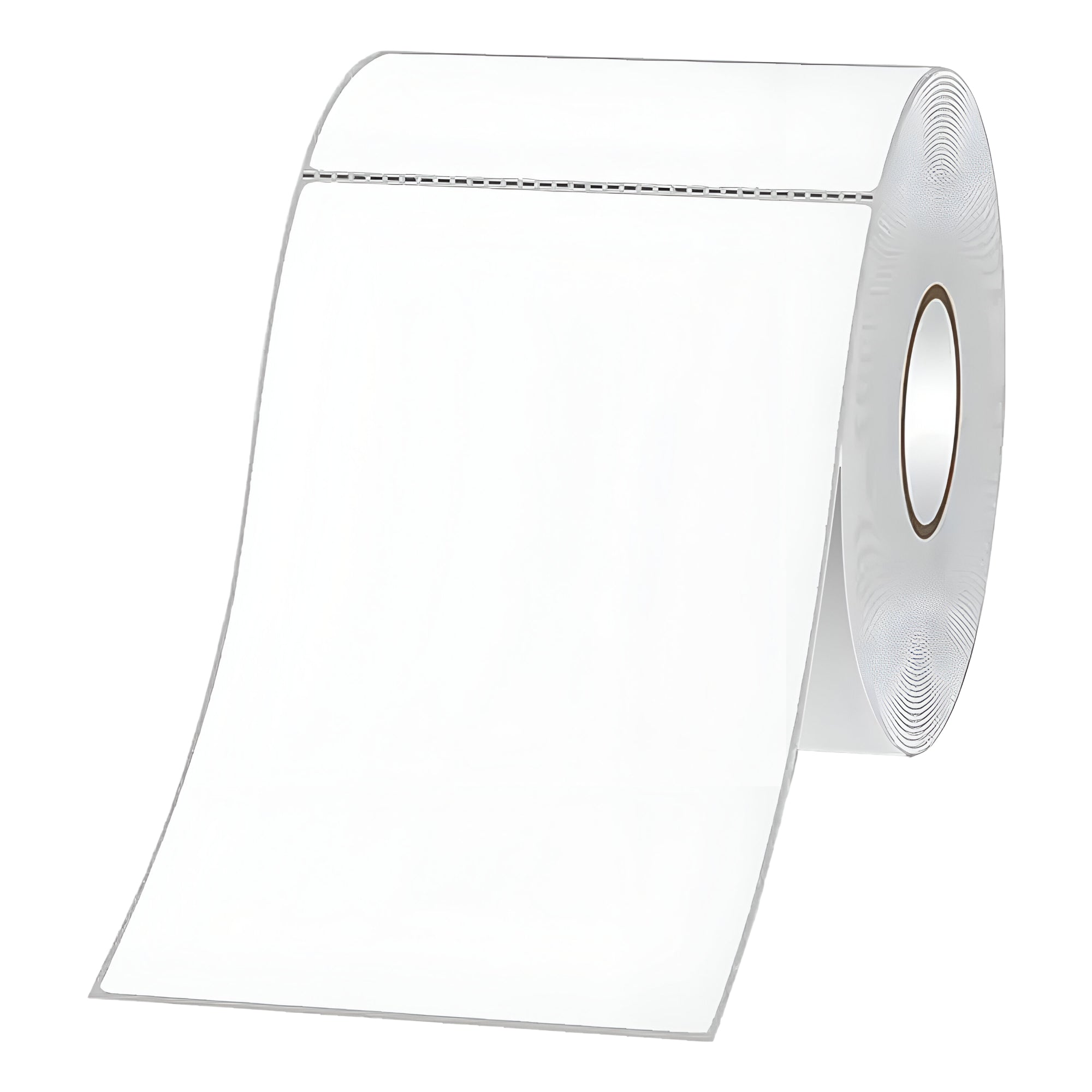 Pack de 5000 Etiquetas Térmicas Autoadhesivas 100x150mm 10UN