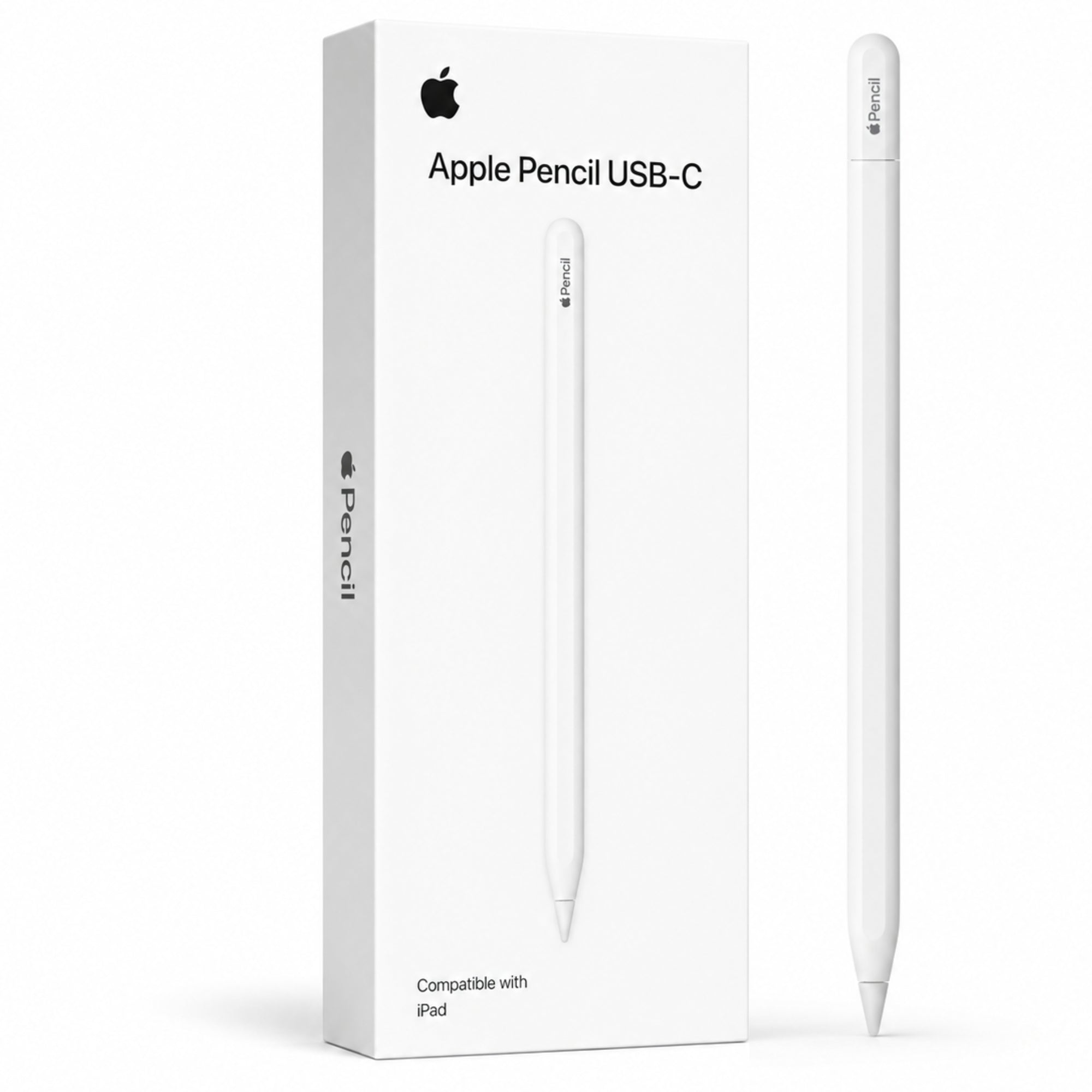 Lapiz Apple Pencil USB-C para Ipad
