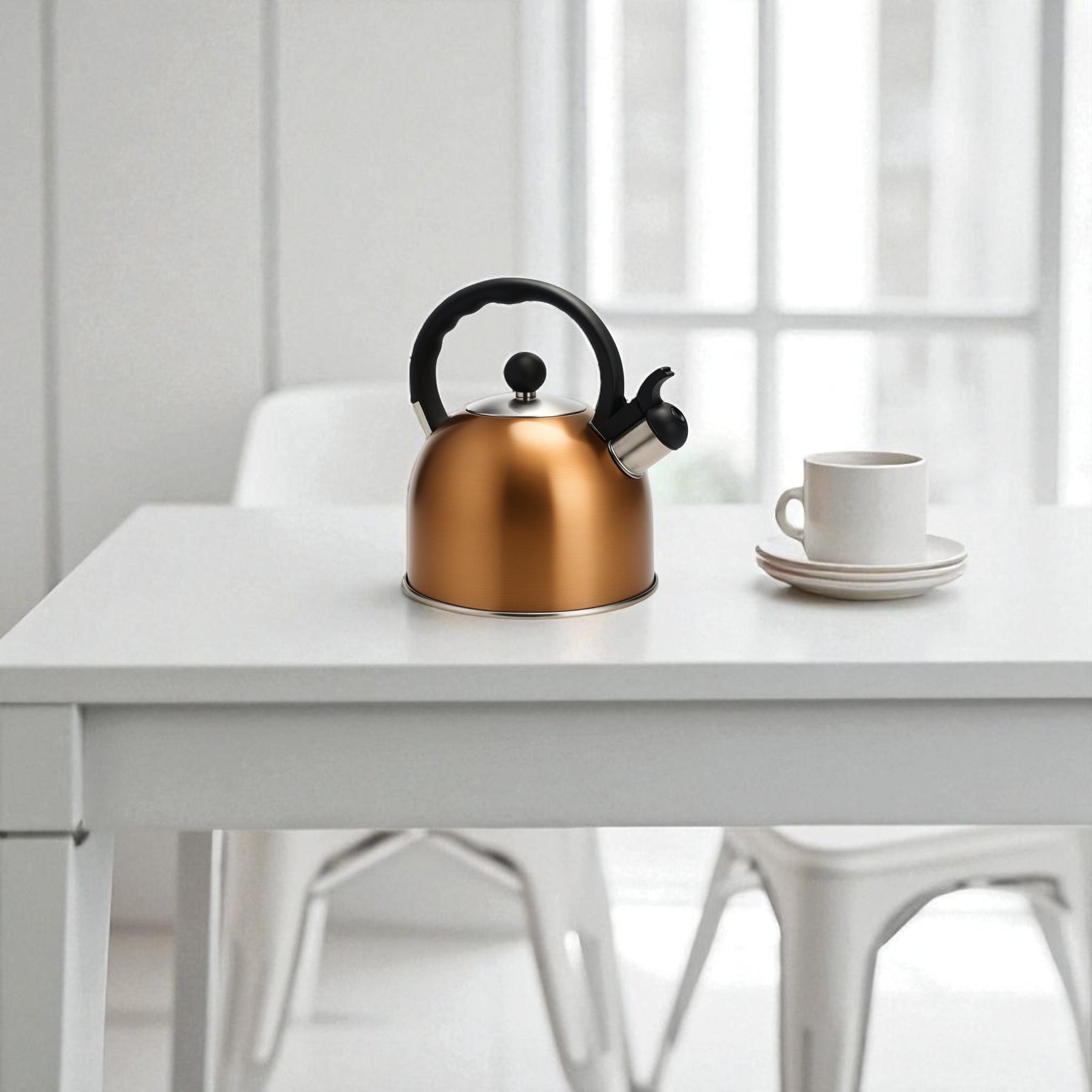 Tetera de Acero Inoxidable 2.5 LT Capri (for all Kitchens)