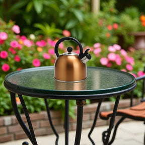 Tetera de Acero Inoxidable 2.5 LT Capri (for all Kitchens)