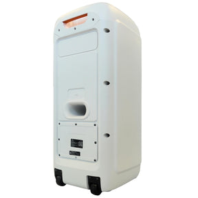 Parlante Karaoke Flaming BIG BASS Dual 8" MicWireless 60WRMS