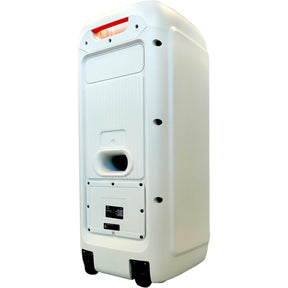 Parlante Karaoke 10" Flaming Power Bass MicWireless 75W RMS