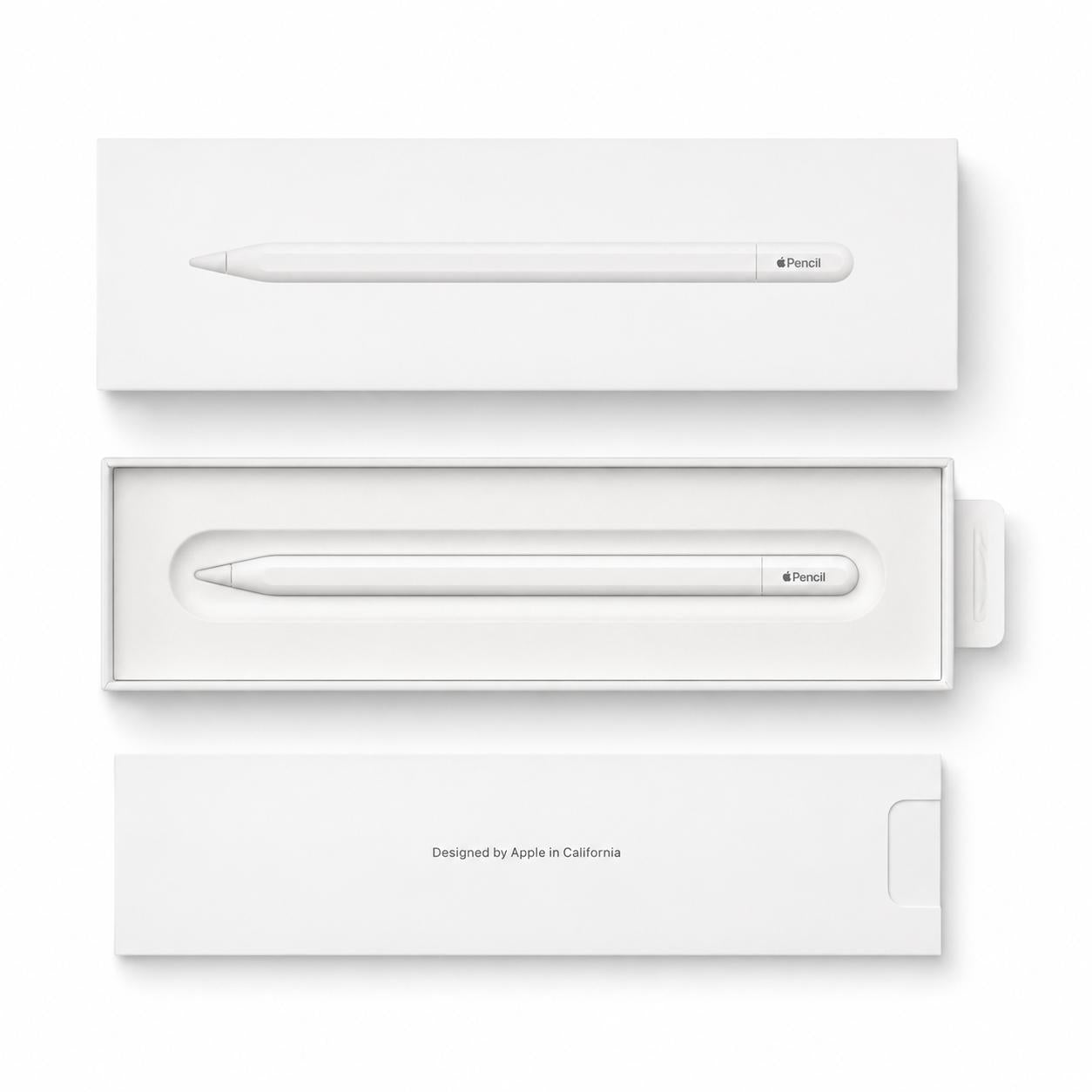 Lapiz Apple Pencil USB-C para Ipad