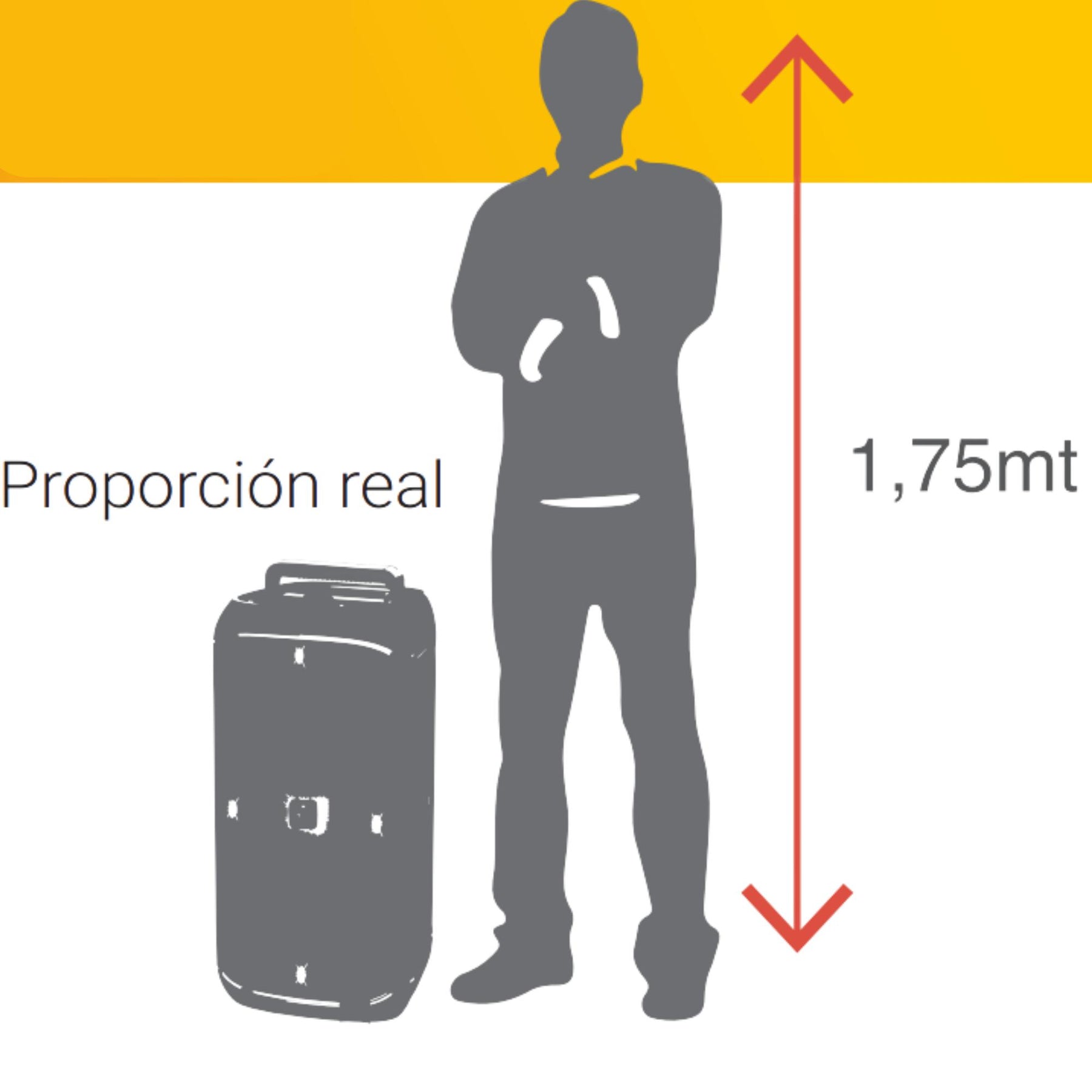 Parlante Karaoke Flaming BIG BASS Dual 8" MicWireless 60WRMS