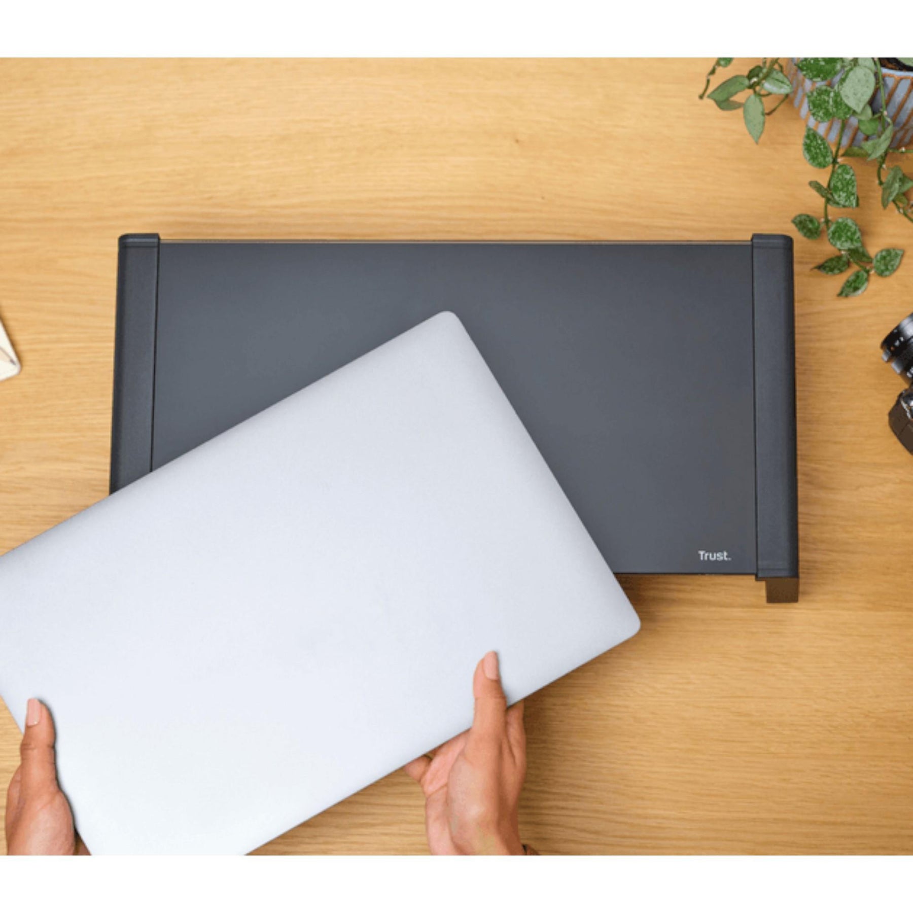 Soporte de Monitor Trust Monta Premium Tempered GLASS Black