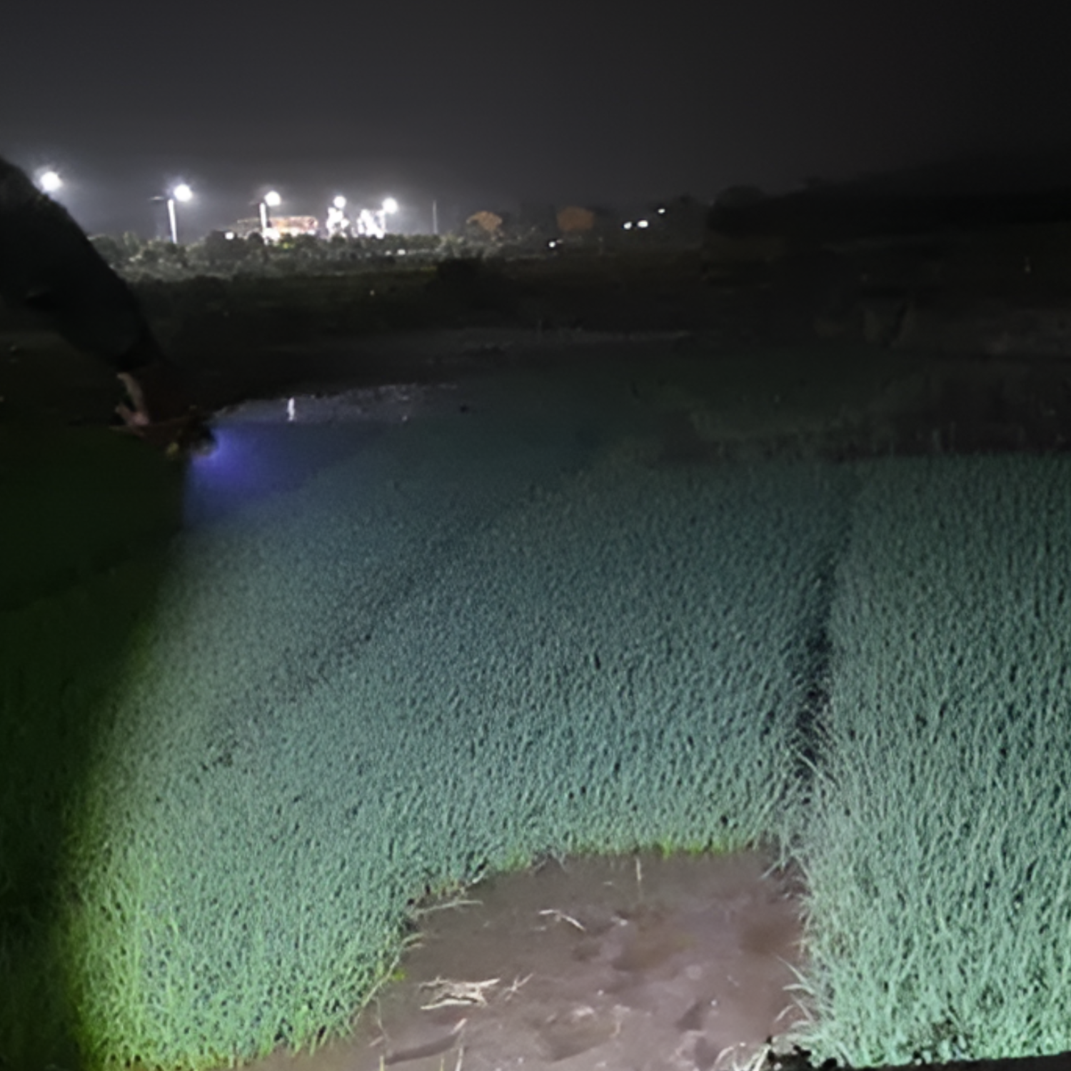 Linterna LED Profesional Multi Uso con Zoom High Power T6